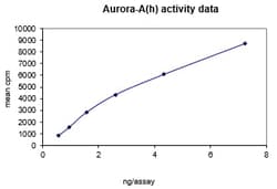 Eurofins DiscoverX Aurora A Protein, Active 250 &mu;g | Buy Online | Eurofins DiscoverX | Fisher Scientific